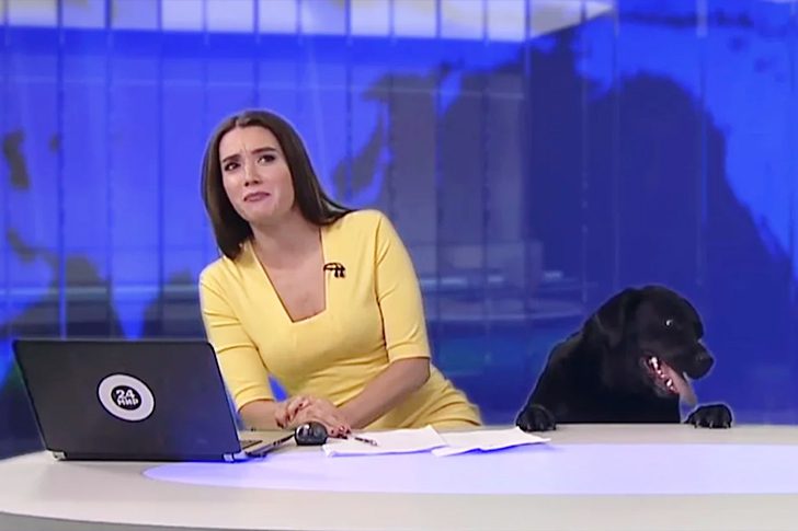 50-times-tv-anchors-made-hilarious-bloopers-on-air-page-15-of-50